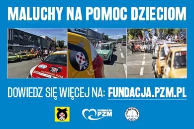 pzm-fundacja-maluchy-na-pomoc-www-390x260px-v2