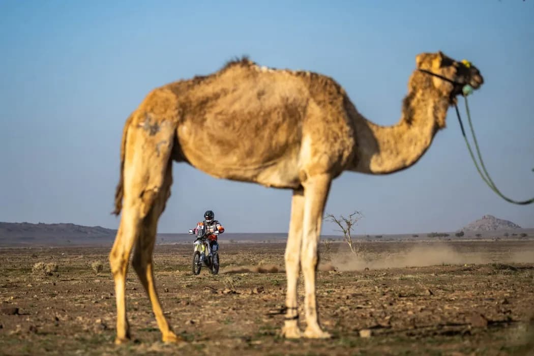 konrad-dabrowski-duust-rally-team-rajd-dakar-2025-etapy-6-12-6